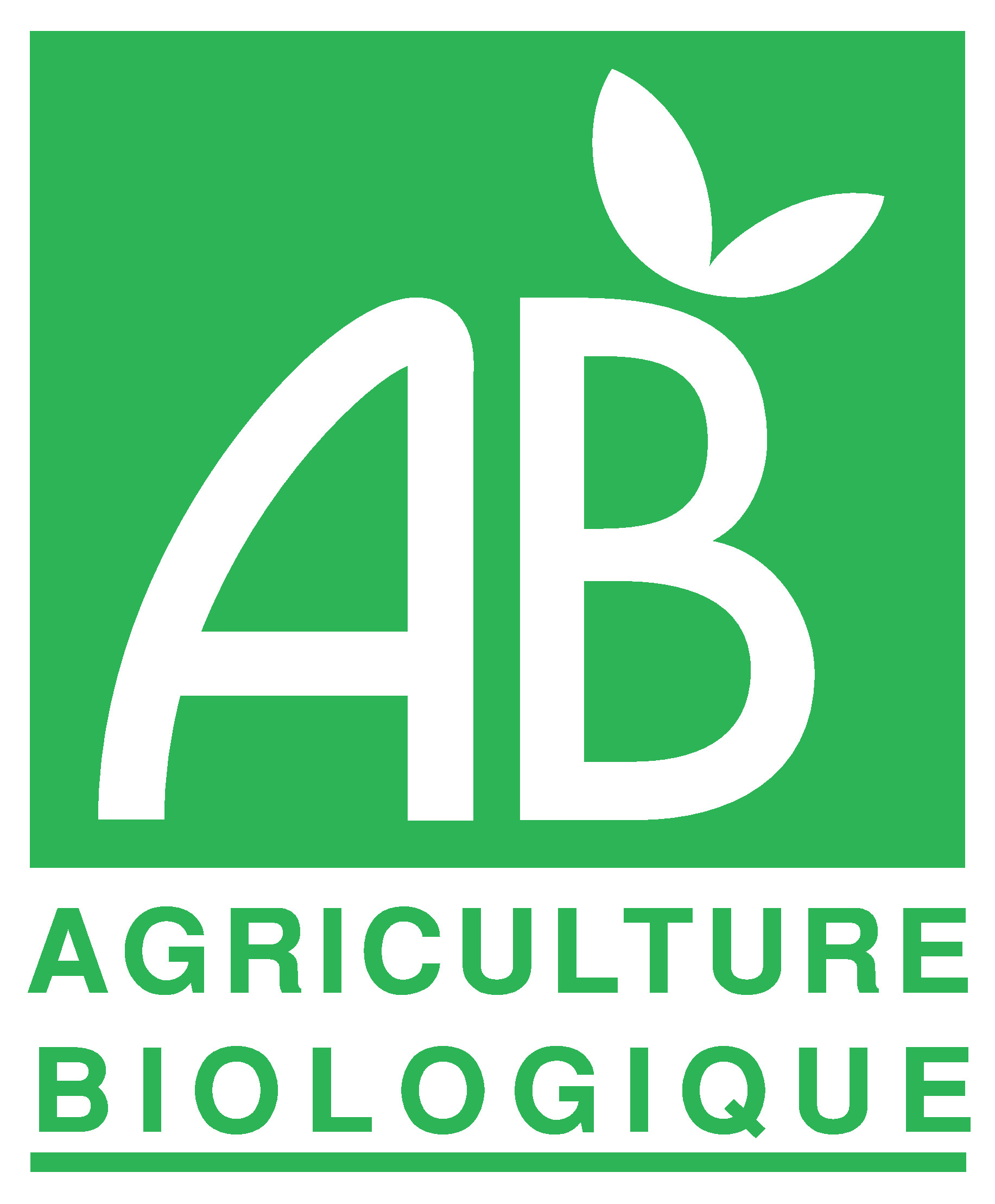 Bouteille Margerite